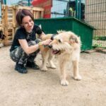 What is the most famous animal rescue?